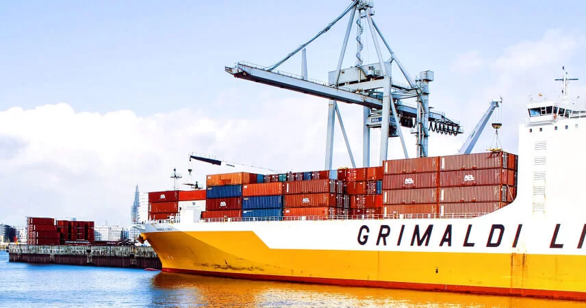 Örnek Proje Başlığı